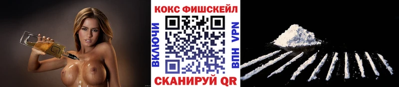 Кокаин Fish Scale  ссылка на мегу как войти  Вилючинск  где продают  