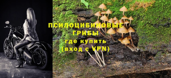 mdpv Баксан